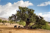 Marocco meridionale - La strada per il passo del Tizi n'Test (2092 m), in viaggio verso Marrakech